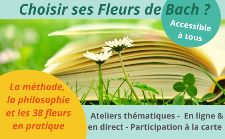 Calendrier des Ateliers thématiques