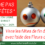 Comment vivre les fêtes avec l’aide des Fleurs de Bach ? Jeudi 16/12 à 20h