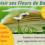 Les prochains Ateliers Fleurs de Bach en 2024