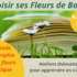 Les prochains Ateliers Fleurs de Bach en 2024