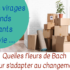 Atelier Fleurs de Bach : dimanche 29/09 : Grands tournants ou petits virages de la vie. Quelles fleurs de Bach ?