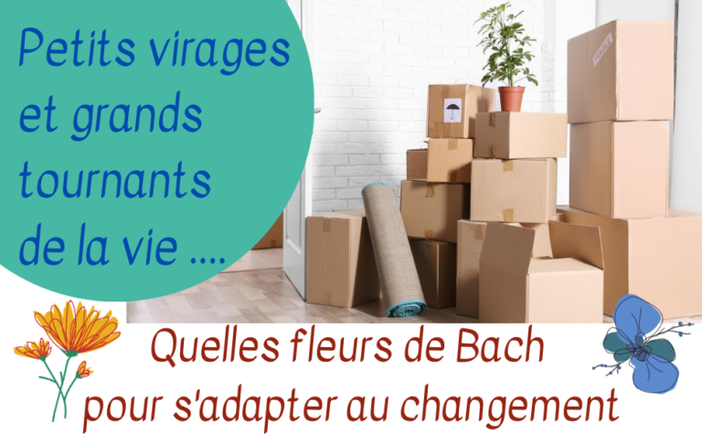Atelier Fleurs de Bach : dimanche 29/09 : Grands tournants ou petits virages de la vie. Quelles fleurs de Bach ?
